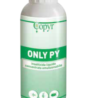 ONLY PY