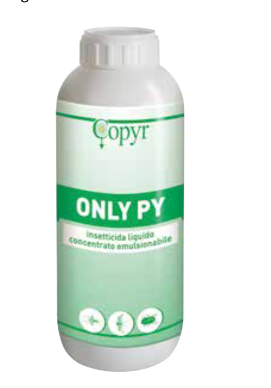ONLY PY