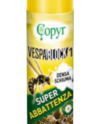 VESPA BLOCK 1