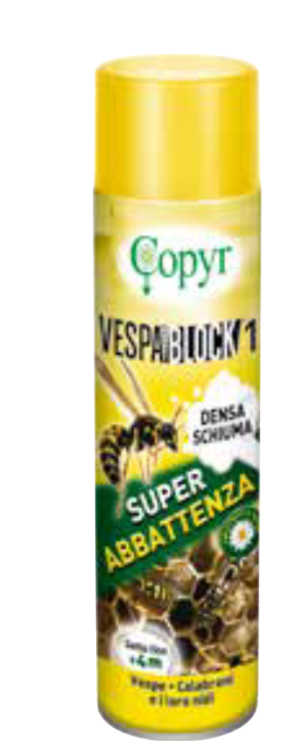VESPA BLOCK 1