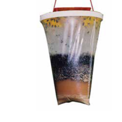 FLY TRAP